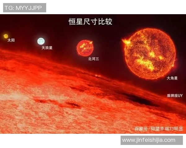 天猫与水星的大小对比分析揭示宇宙中星球的奇妙差异与特征