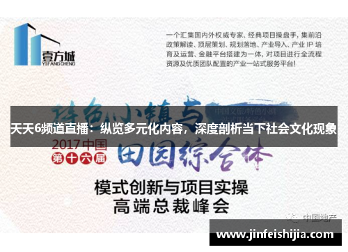 天天6频道直播：纵览多元化内容，深度剖析当下社会文化现象